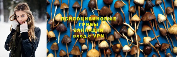 спиды Абаза