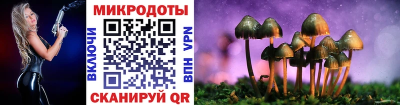 Галлюциногенные грибы MAGIC MUSHROOMS  Советский 